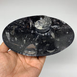 4pcs,6"x4.7"x4mm Small Oval Black Fossils Orthoceras Ammonite Bowls Dishes,F357
