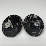 4pcs,6"x4.7"x4mm Small Oval Black Fossils Orthoceras Ammonite Bowls Dishes,F357
