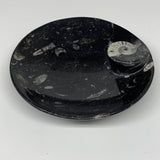 402.4g, 6" Small Black Round Fossils Orthoceras Ammonite Bowl Ring @Morocco,F371