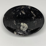 402.4g, 6" Small Black Round Fossils Orthoceras Ammonite Bowl Ring @Morocco,F371