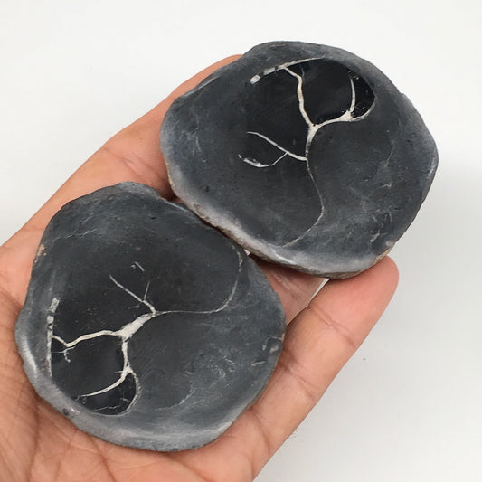 1 Pair, 171.8g,2.4"x2.1" Natural Unique Septarian Nodules Slabs @Morocco,MF3543