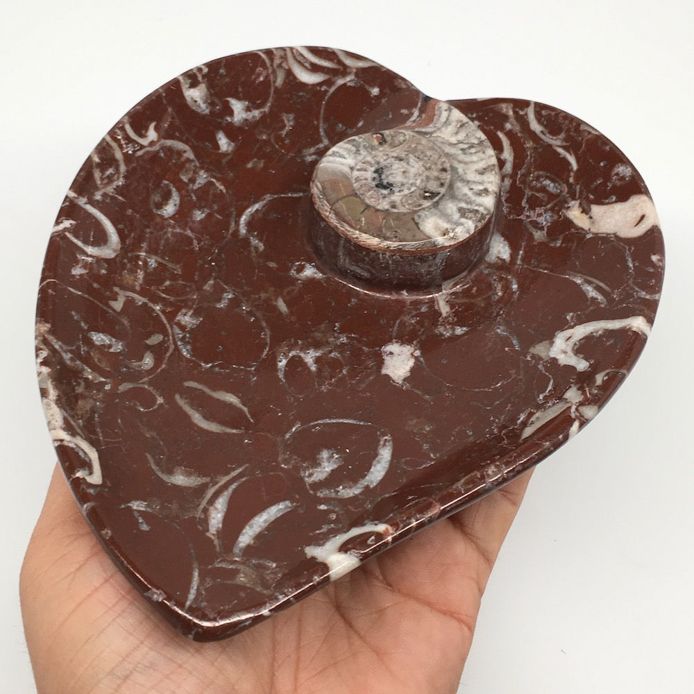 2pcs,6.25"x5.2" Ammonite Fossils Heart Plates Dishes Red Marble @Morocco,MF1360