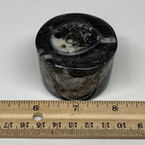 136.2g, 1.6"x2" Small Round  Black Fossils Ammonite Jewelry Box @Morocco,F2310