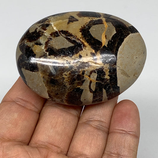 117.2g,2.5"x1.9"x1" Septarian Nodule Palm-Stone Polished Reiki Madagascar,B5012