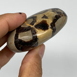 117.2g,2.5"x1.9"x1" Septarian Nodule Palm-Stone Polished Reiki Madagascar,B5012