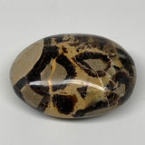 117.2g,2.5"x1.9"x1" Septarian Nodule Palm-Stone Polished Reiki Madagascar,B5012