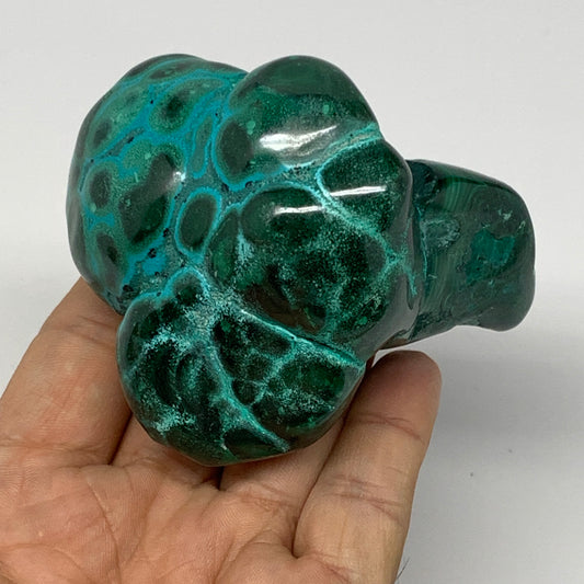 343.6g,3.1"x2.7"x2" Natural Azurite Malachite Freeform Polished @Congo, B18492