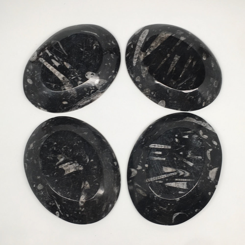 4pcs,6.25"x4.75"x5mm Oval Fossils Orthoceras Ammonite Bowls Dishes,Black, MF1367