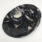 4pcs,6.25"x4.75"x5mm Oval Fossils Orthoceras Ammonite Bowls Dishes,Black, MF1367