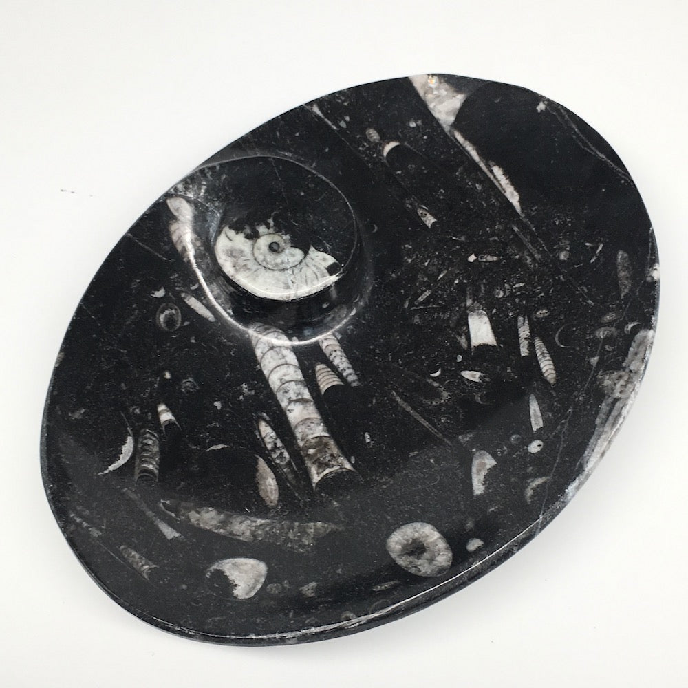 4pcs,6.25"x4.75"x5mm Oval Fossils Orthoceras Ammonite Bowls Dishes,Black, MF1367