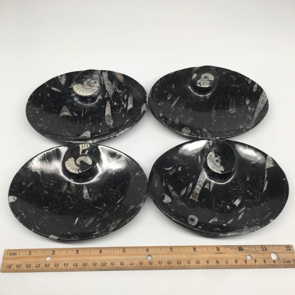 4pcs,6.25"x4.75"x5mm Oval Fossils Orthoceras Ammonite Bowls Dishes,Black, MF1367
