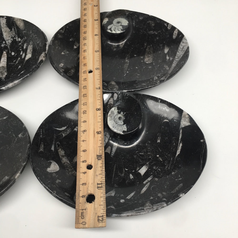 4pcs,6.25"x4.75"x5mm Oval Fossils Orthoceras Ammonite Bowls Dishes,Black, MF1367
