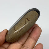 123.7g,3"x1.9"x0.8" Septarian Nodule Palm-Stone Polished Reiki Madagascar,B5019