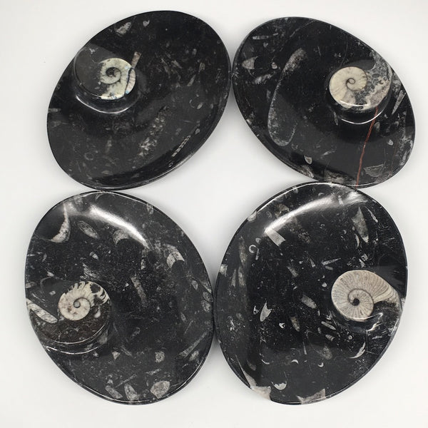 4pcs,6.25"x4.75"x5mm Oval Fossils Orthoceras Ammonite Bowls Dishes,Black, MF1369