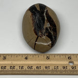 123.7g,3"x1.9"x0.8" Septarian Nodule Palm-Stone Polished Reiki Madagascar,B5019