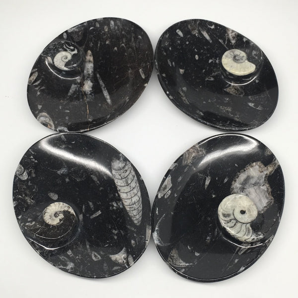 4pcs,6.25"x4.75"x5mm Oval Fossils Orthoceras Ammonite Bowls Dishes,Black, MF1373