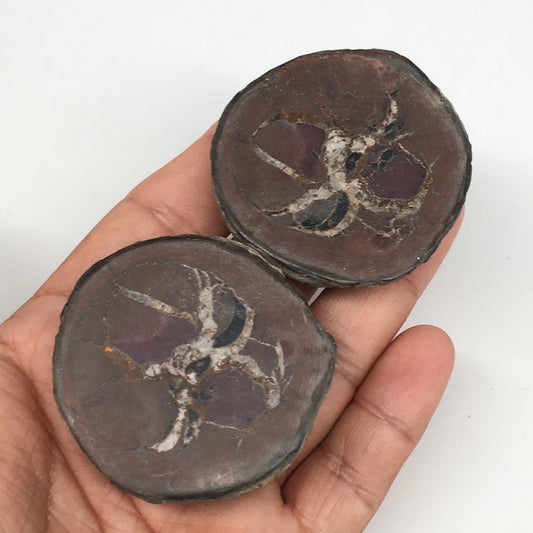 1 Pair,109.3g,2"x1.9" Natural Unique Septarian Nodules Slabs @Morocco,MF3568