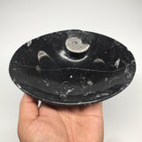 4pcs,6.25"x4.75"x5mm Oval Fossils Orthoceras Ammonite Bowls Dishes,Black, MF1377