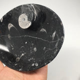4pcs,6.25"x4.75"x5mm Oval Fossils Orthoceras Ammonite Bowls Dishes,Black, MF1377