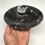 4pcs,6.25"x4.75"x5mm Oval Fossils Orthoceras Ammonite Bowls Dishes,Black, MF1378