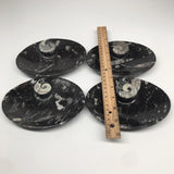 4pcs,6.25"x4.75"x5mm Oval Fossils Orthoceras Ammonite Bowls Dishes,Black, MF1378