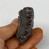 81.3g, 2.3"x1.2"x0.9" Rough Hematite Botryoidal Mineral Crystal @Morocco, B9609