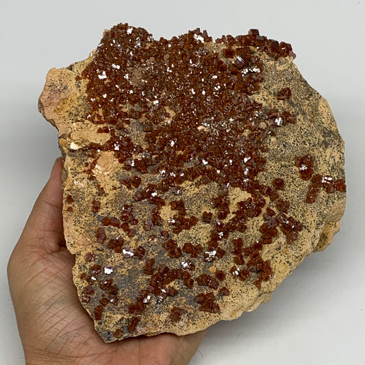 1358g, 6"x6"x2.3", Vanadinite Crystals Cluster Mineral Specimens @Morocco,B11258
