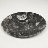4pcs,6.25"x4.75"x5mm Oval Fossils Orthoceras Ammonite Bowls Dishes,Black, MF1383