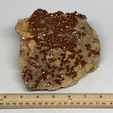 1358g, 6"x6"x2.3", Vanadinite Crystals Cluster Mineral Specimens @Morocco,B11258
