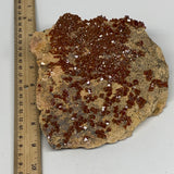 1358g, 6"x6"x2.3", Vanadinite Crystals Cluster Mineral Specimens @Morocco,B11258