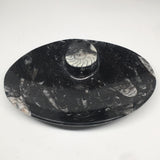 4pcs,6.25"x4.75"x5mm Oval Fossils Orthoceras Ammonite Bowls Dishes,Black, MF1384