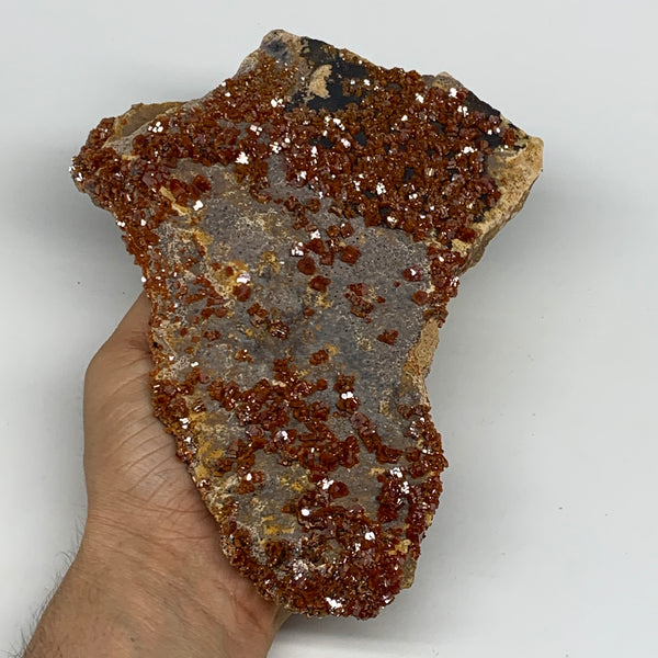 1248g, 8"x6"x1.7", Vanadinite Crystals Cluster Mineral Specimens @Morocco,B11261