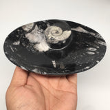 4pcs,6.25"x4.75"x5mm Oval Fossils Orthoceras Ammonite Bowls Dishes,Black, MF1385