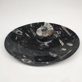 4pcs,6.25"x4.75"x5mm Oval Fossils Orthoceras Ammonite Bowls Dishes,Black, MF1385