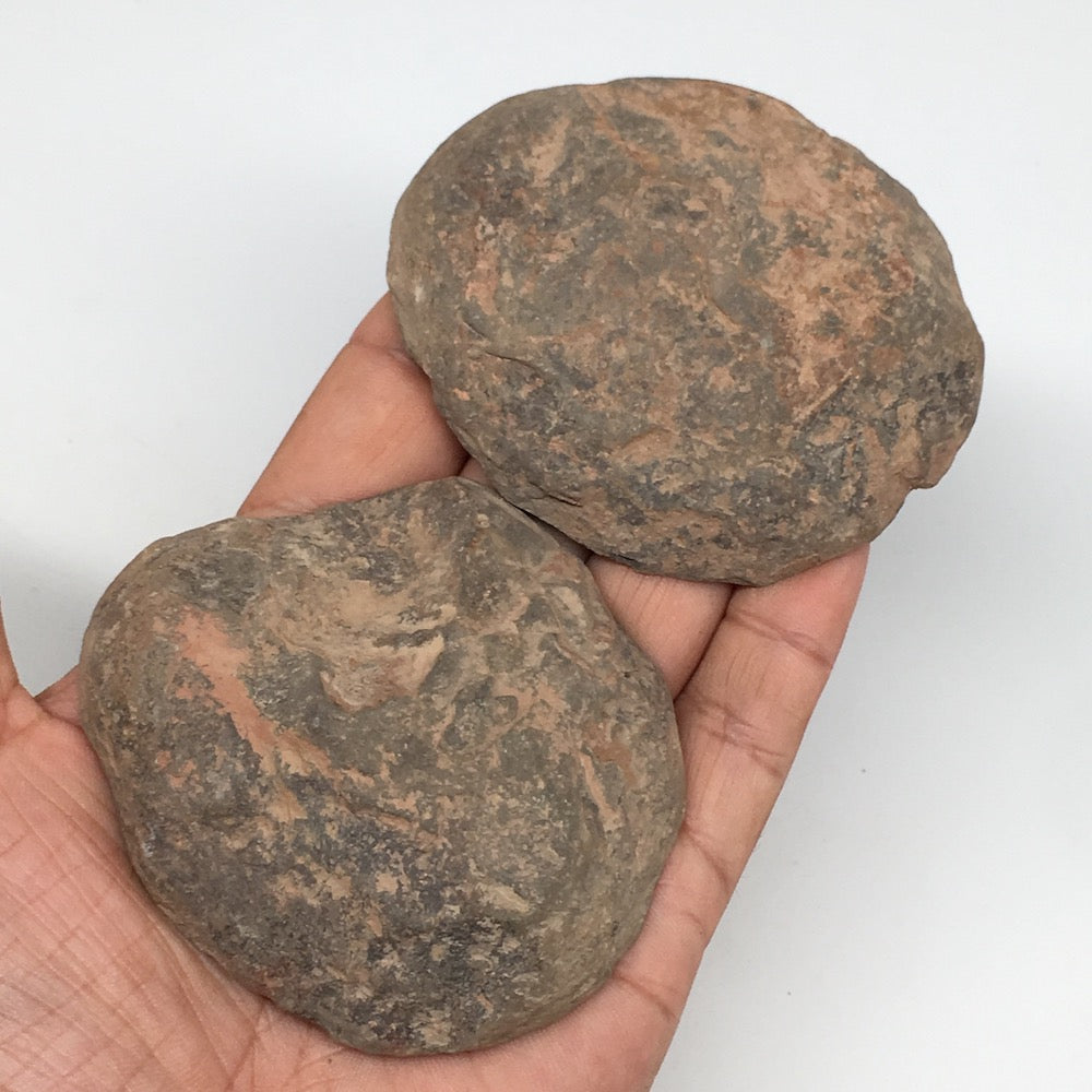 1 Pair,201.1g,3"x2.7" Natural Unique Septarian Nodules Slabs @Morocco,MF3589