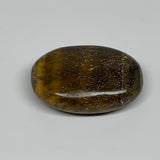 104.5g, 2.6"x1.8"x0.8", Natural Tiger's Eye Palm-Stone Gemstone @India, B24702