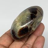 138.8g,2.5"x2"x1.2" Septarian Nodule Palm-Stone Polished Reiki Madagascar,B5045