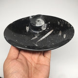 4pcs,6.25"x4.75"x5mm Oval Fossils Orthoceras Ammonite Bowls Dishes,Black, MF1389