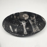 4pcs,6.25"x4.75"x5mm Oval Fossils Orthoceras Ammonite Bowls Dishes,Black, MF1389