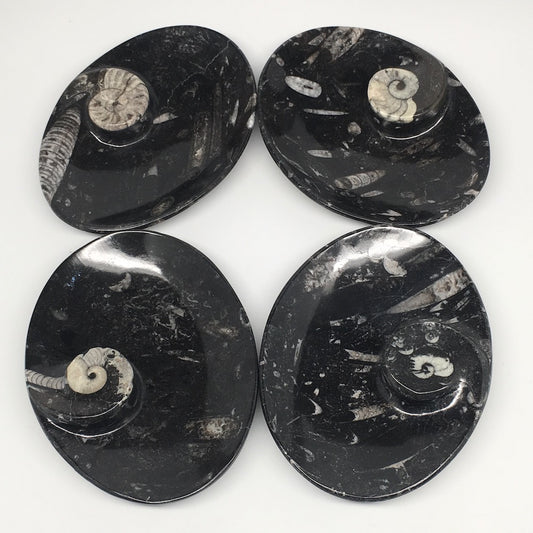 4pcs,6.25"x4.75"x5mm Oval Fossils Orthoceras Ammonite Bowls Dishes,Black, MF1390