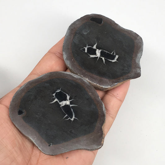 1 Pair,235g,2.8"x2.3" Natural Unique Septarian Nodules Slabs @Morocco,MF3596