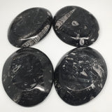 4pcs,6.25"x4.75"x5mm Oval Fossils Orthoceras Ammonite Bowls Dishes,Black, MF1390