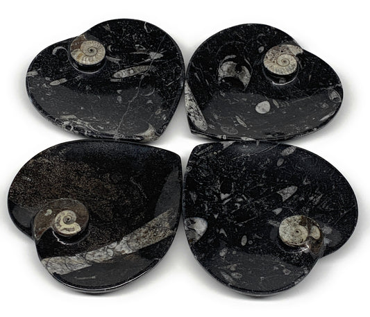 4Pcs, 4.8"x4.7" Small Heart Fossils Orthoceras Ammonite Bowls @Morocco, B8786