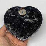 4Pcs, 4.8"x4.7" Small Heart Fossils Orthoceras Ammonite Bowls @Morocco, B8786
