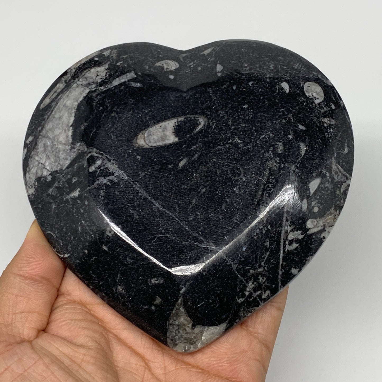 4Pcs, 4.8"x4.7" Small Heart Fossils Orthoceras Ammonite Bowls @Morocco, B8786