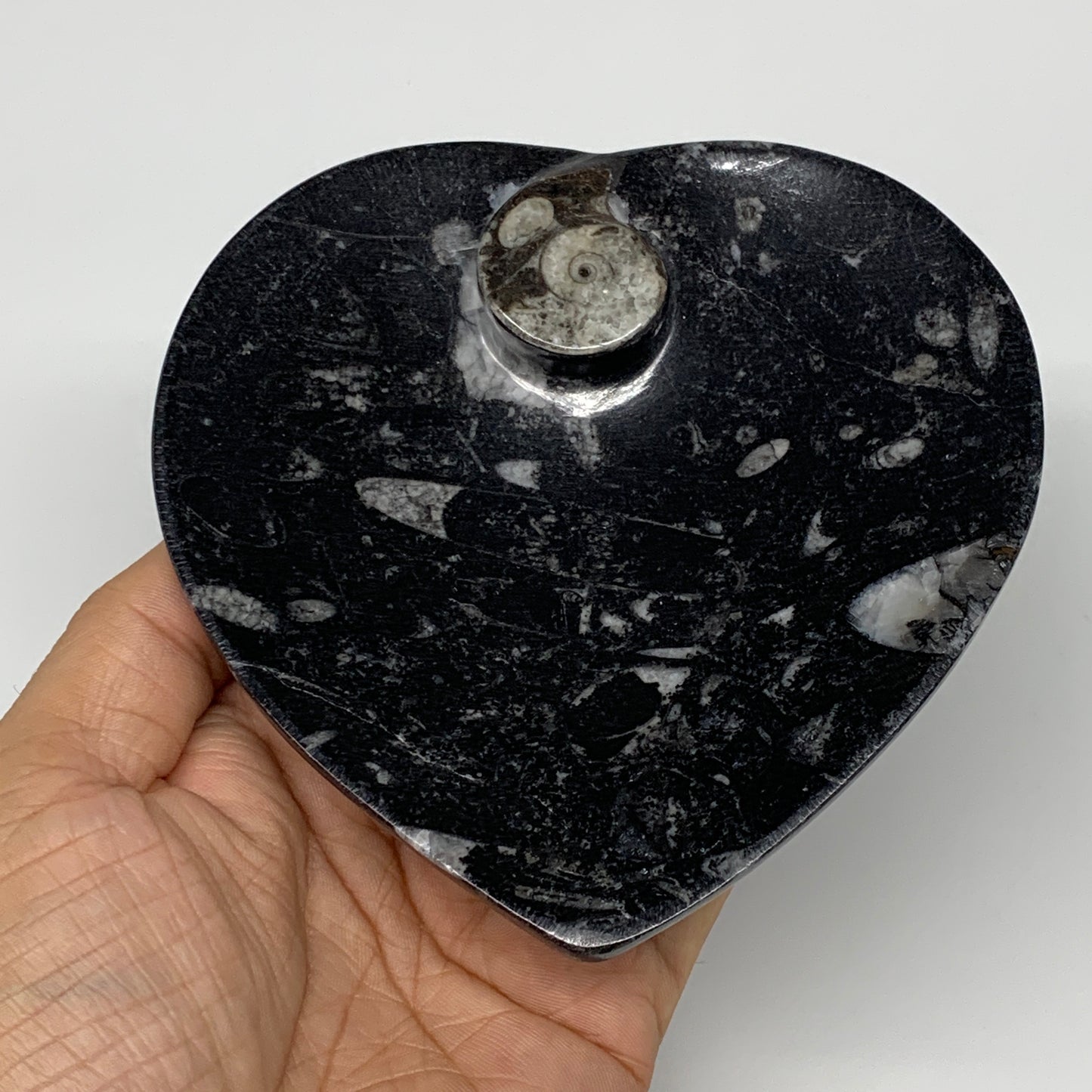 4Pcs, 4.8"x4.7" Small Heart Fossils Orthoceras Ammonite Bowls @Morocco, B8786