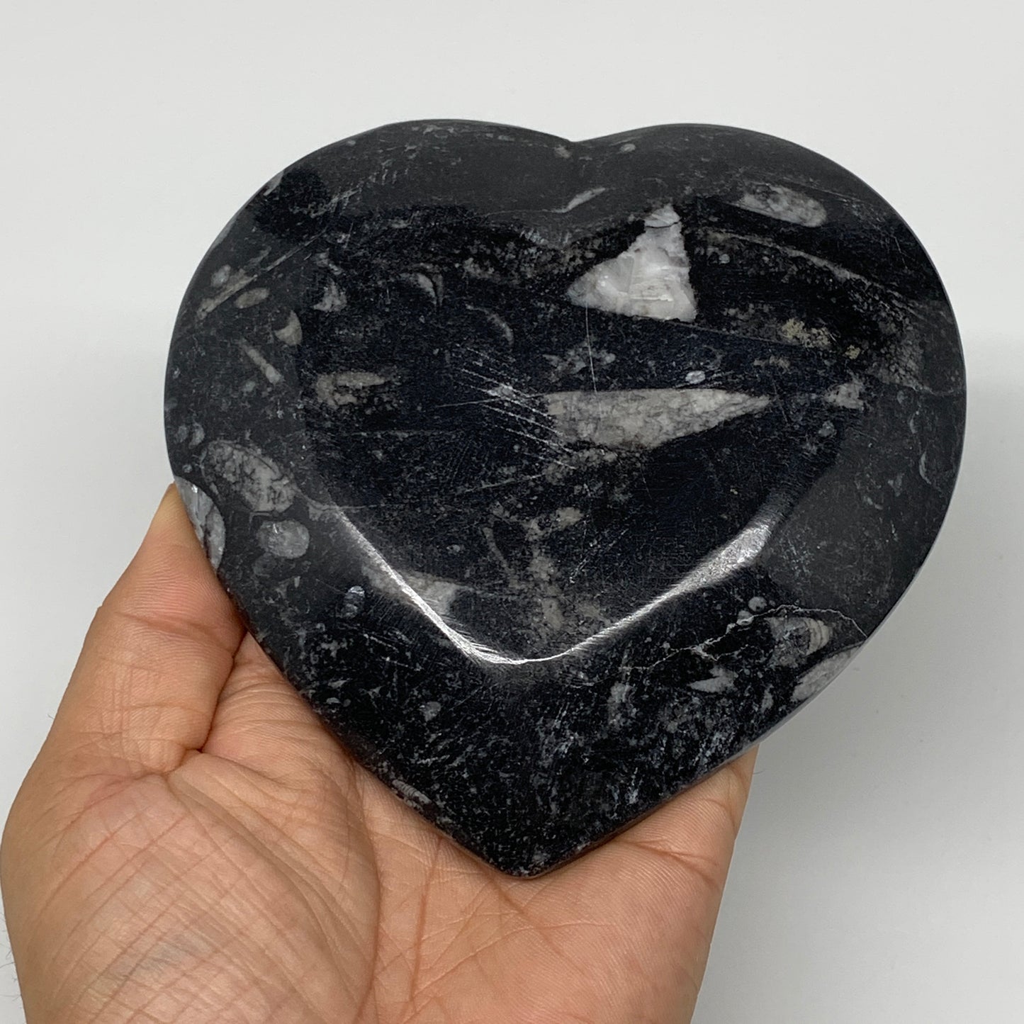 4Pcs, 4.8"x4.7" Small Heart Fossils Orthoceras Ammonite Bowls @Morocco, B8786