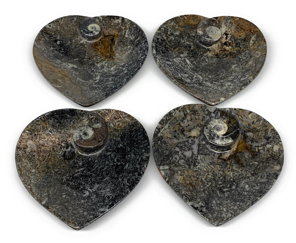 4Pcs, 4.8"x4.7" Small Heart Fossils Orthoceras Ammonite Bowls @Morocco, B8788