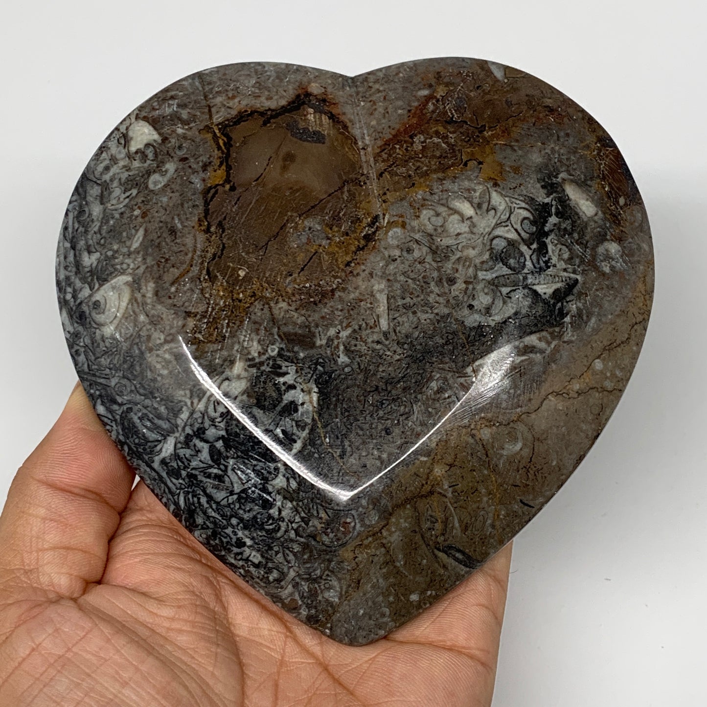 4Pcs, 4.8"x4.7" Small Heart Fossils Orthoceras Ammonite Bowls @Morocco, B8788