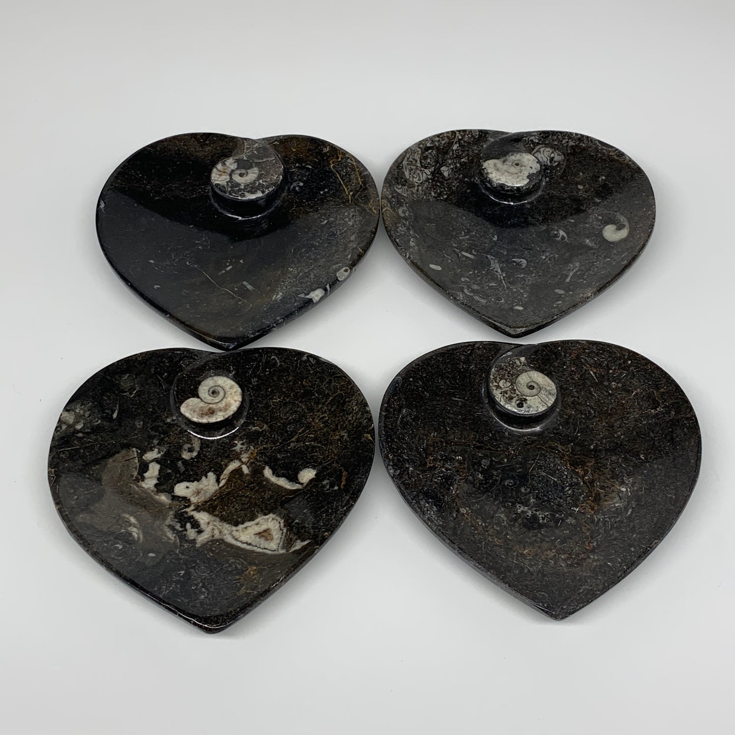 4Pcs, 4.8"x4.7" Small Heart Fossils Orthoceras Ammonite Bowls @Morocco, B8790